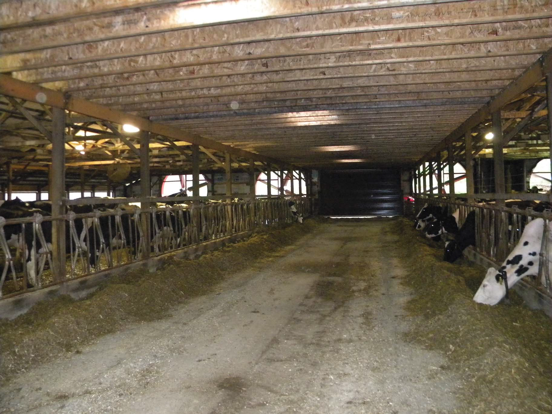 Riverside Dairy Page 21